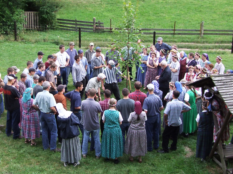 Planting the Linden tree at the Bruderhof in Germany Flickr
