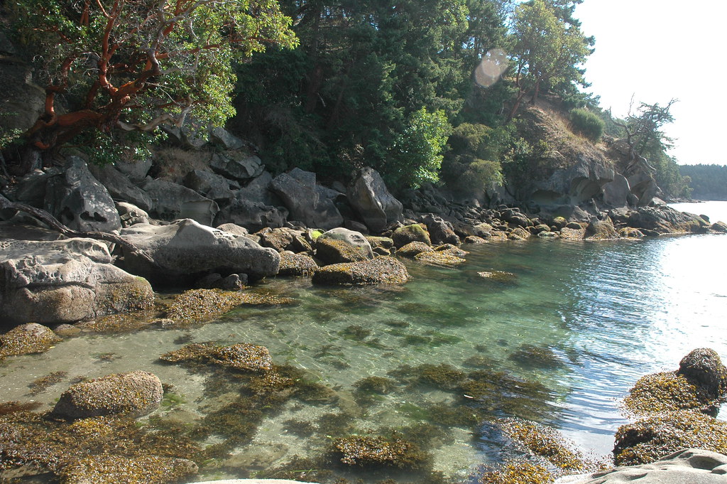 Campbell Bay, Mayne Island David Wong Flickr