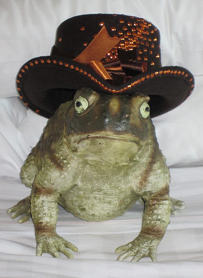 Mr. Toad wearing my hat Steamcon 3 dragonflydesignstudio Flickr