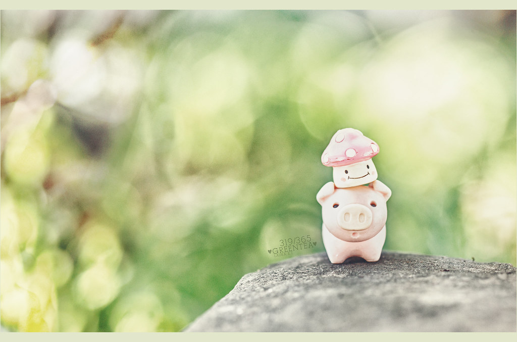 319/365 cute things 11/15/2011 For the 10 Things Group 1… Flickr