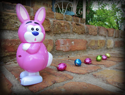 Easter Bunny caught laying eggs! The Easter bunny was cau… Flickr