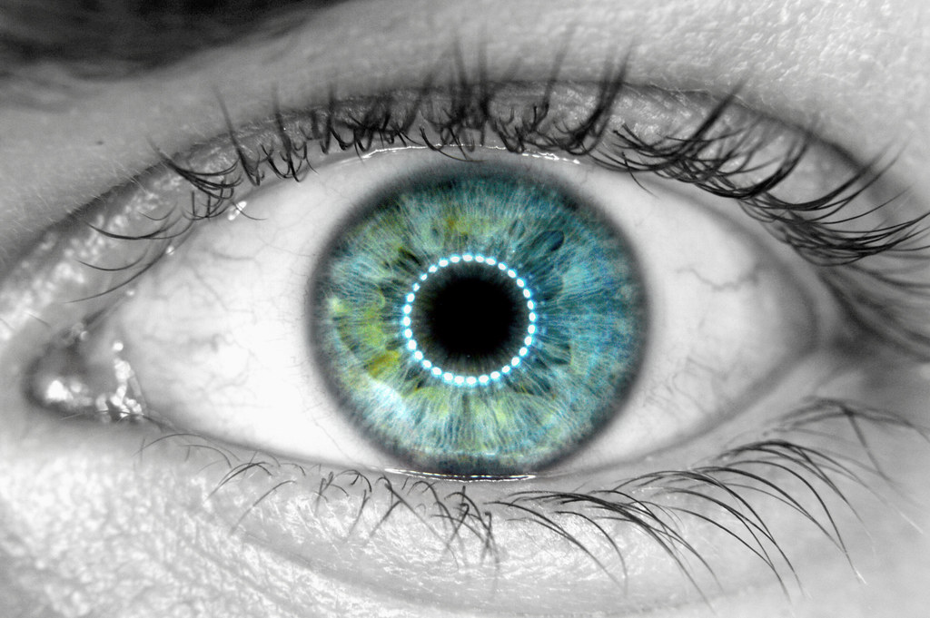 Ring Light Eye A Spot Color With A Macro Ring Light Reflec Flickr