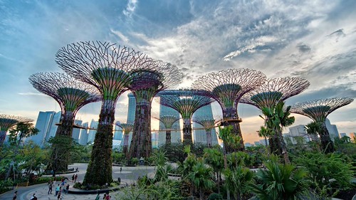 Gardens by the Bay, Singapore Interesting Places to