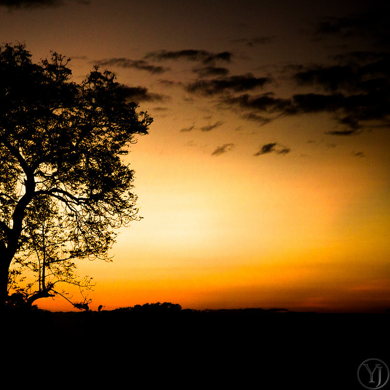 17 Teknik Sederhana Untuk Foto Sunset Yang Keren - Foto.co.id 800_X_800_jpg