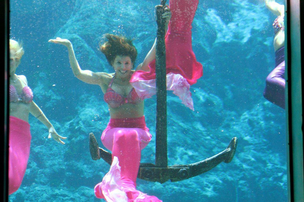 Gayle Guyardo Mermaid Growing up in Tampa I loved going to… Flickr
