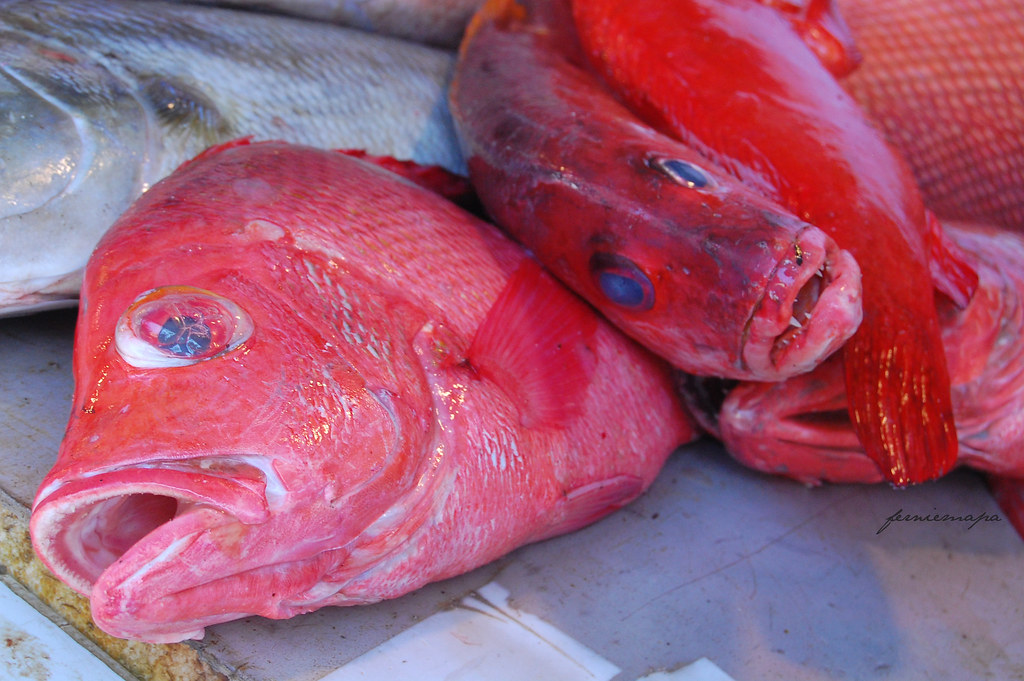 Lapulapu. Grouper in English. Best cooked for sweetands… Flickr
