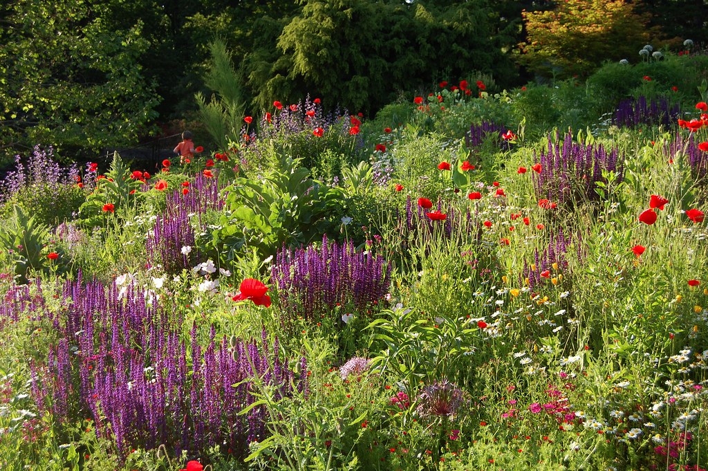 Chanticleer a "Pleasure Garden" near Philadelphia Flickr