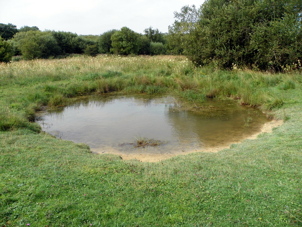 GOC Ickleford 096 Cattle pond The cattle pond at Oughtonh… Flickr