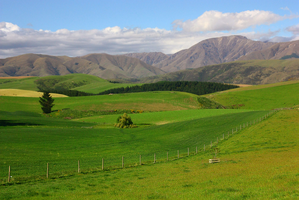 Rolling Hills of NZ I've been umming and ahhing over uploa… Flickr