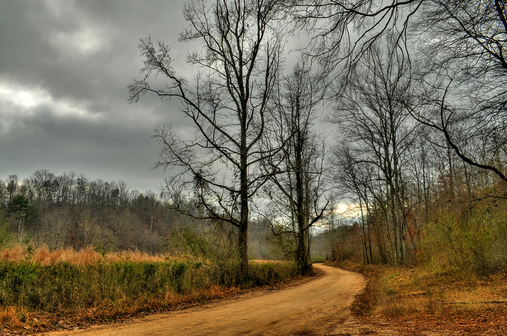 An Alabama Dirt Road Hope everyone has a Happy and safe Ne… Flickr