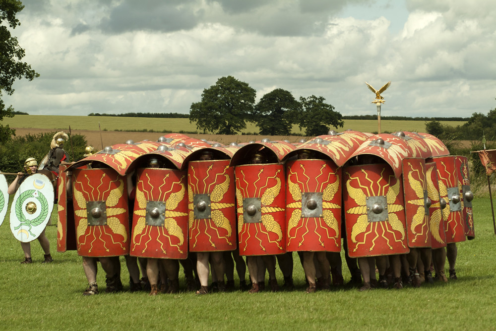 Roman Turtle bernard birch Flickr