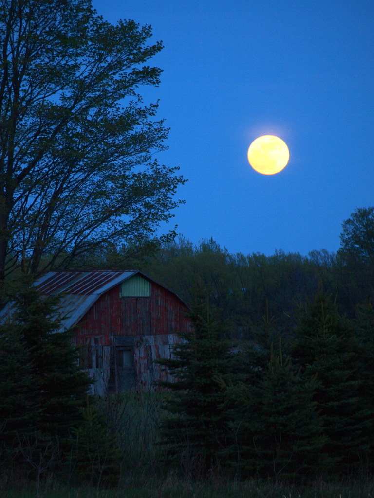 Moon burn possible tonight . . . Apply Moon screen liberal… Flickr