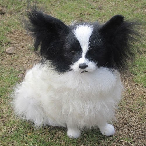 Adorable Papillon Stuffed Dog Puppy Toy Two Colors Flickr