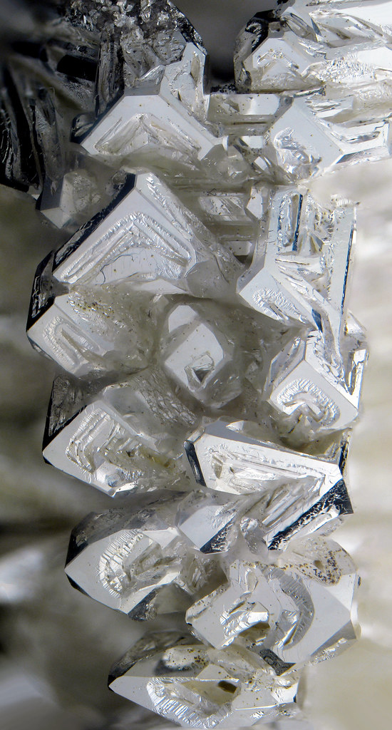 Silver Crystals These silver crystals were electrochemical… Flickr