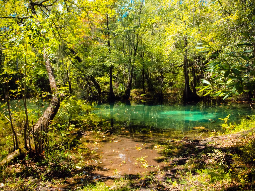 Hightower Springs. Holmes Creek. Washington County FL Flickr