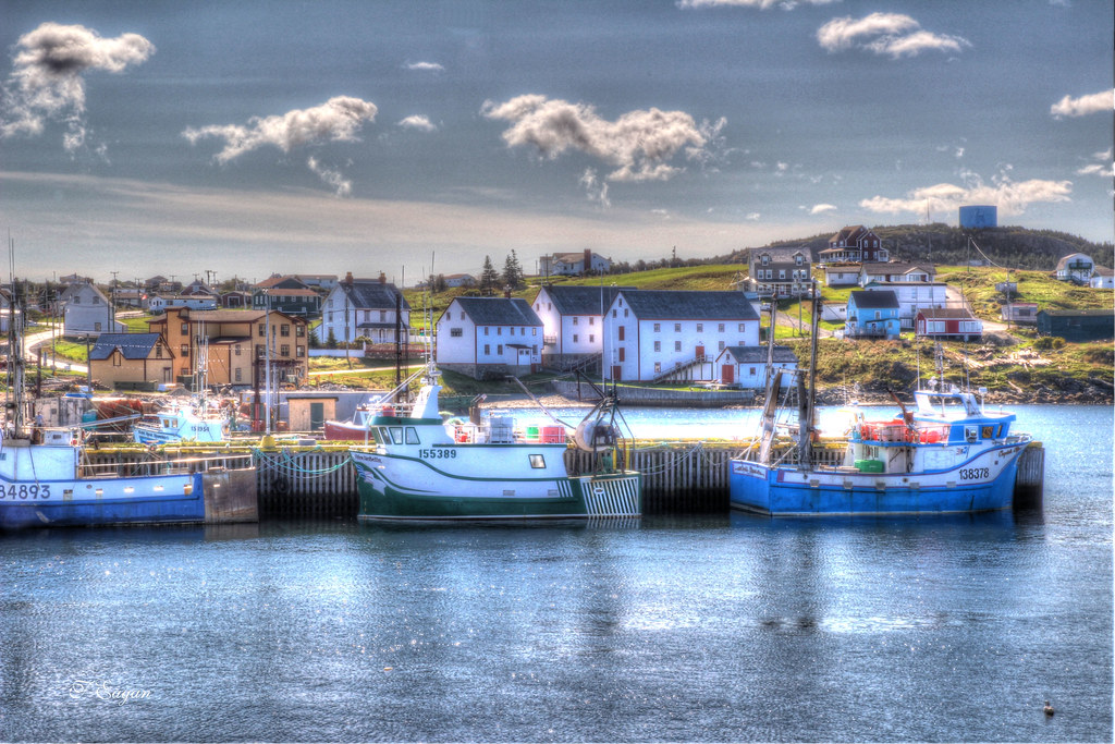 Bonavista Harbour The Town of Bonavista has a steep and en… Flickr