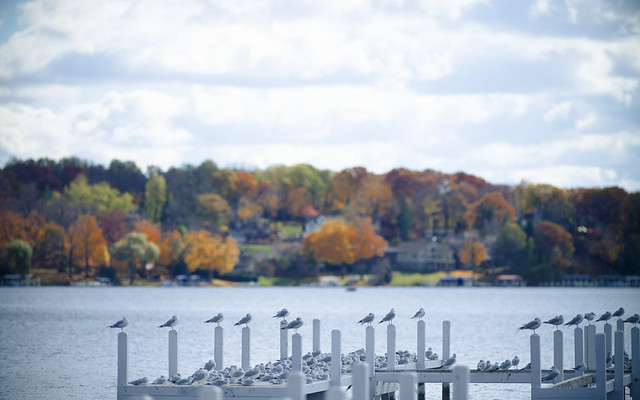 Lake Geneva Wisconsin Lake Geneva Wisconsin Weather October