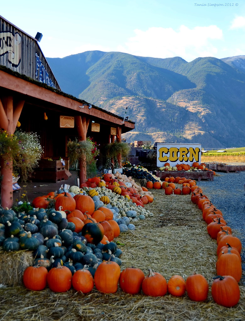 Bear's Fruit Stand Keremeos, BC The Bear's Fruit Stand alw… Flickr