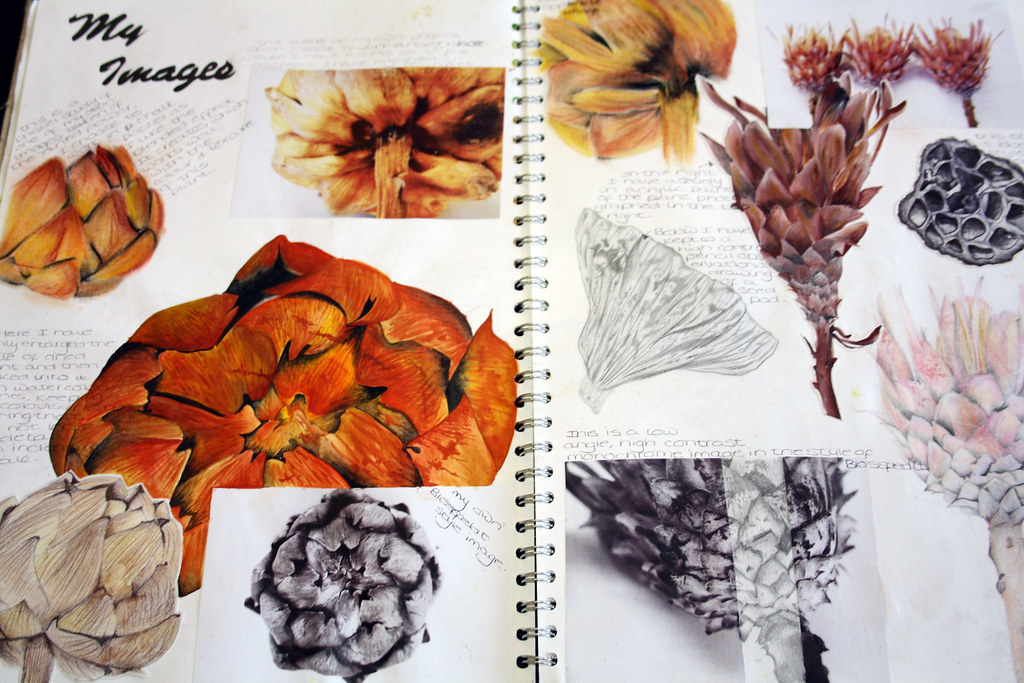 A2 Art Personal Investigation, Unit 3 (Natural Forms) Flickr