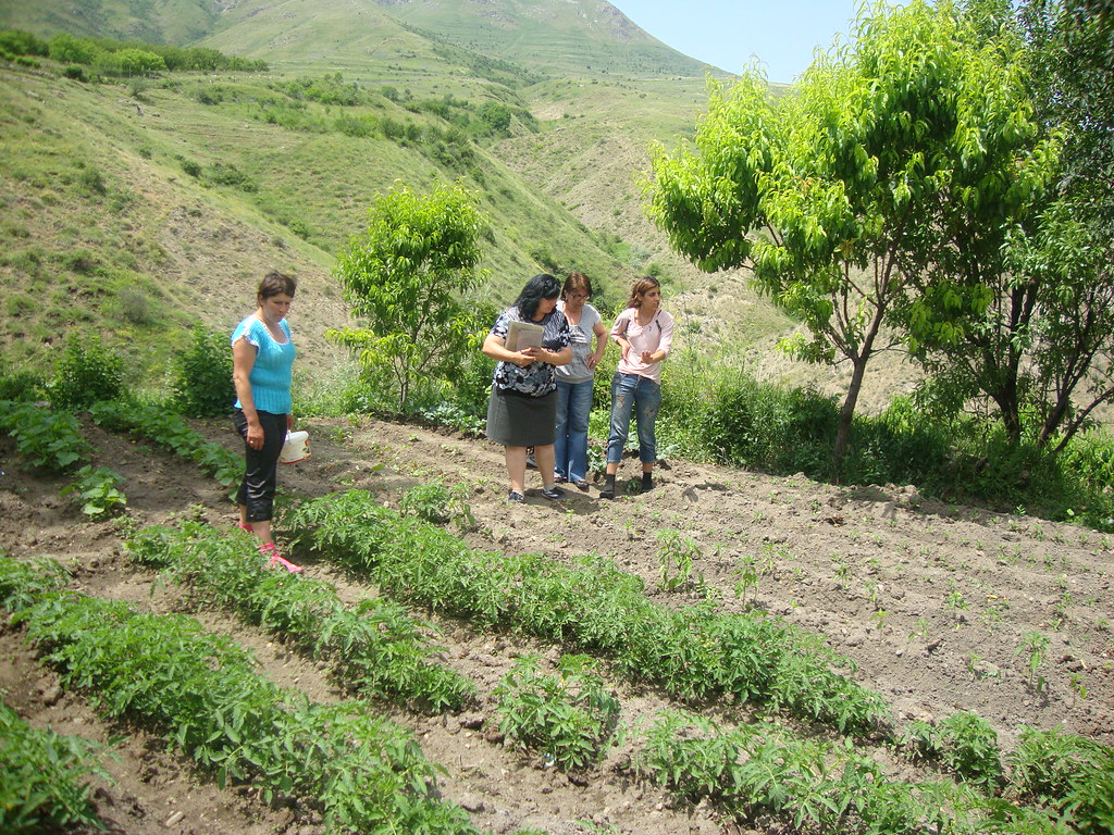 Agriculture in Armenia With the support of OXFAM Armenia a… Flickr