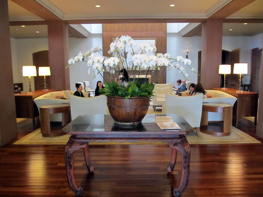 Orchids' Living Room Orchids is a "casually elegant