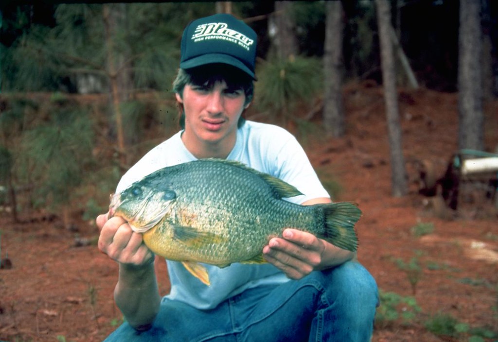 State Record Sunfish The current state record (4.86 pounds… Flickr