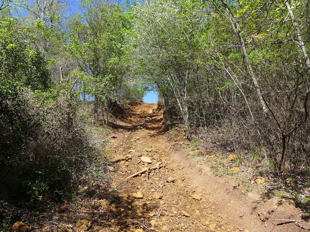Barnwell mountain recreational area Gilmer texas robert thigpen