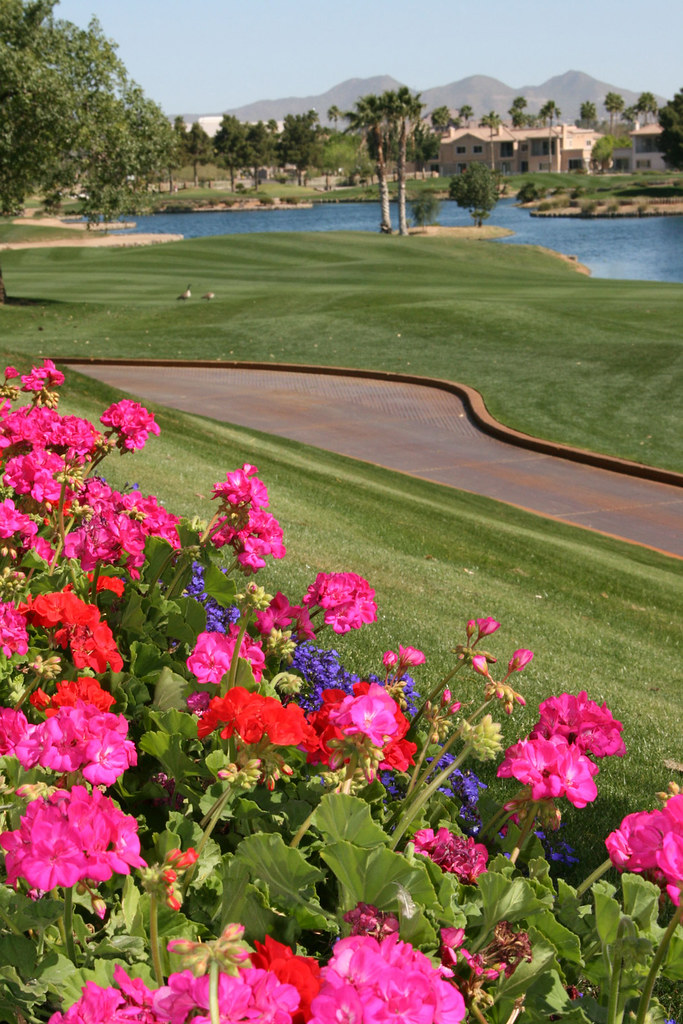 Superstition Springs Golf Course These Golf Courses are pa… Flickr