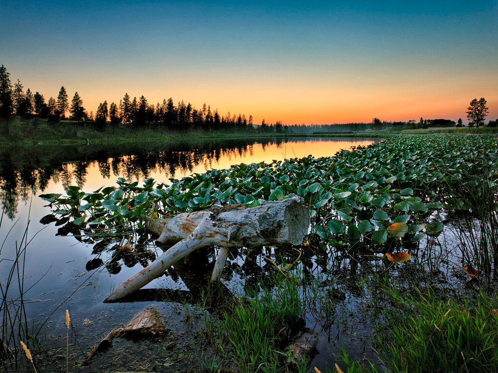 Sunset at Horseshoe Lake Spokane County, Washington. Flickr