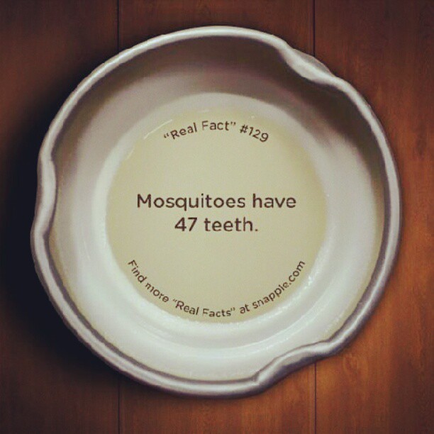 mosquitoes have 47 teeth whoaaaa Ariana Shankasaurus