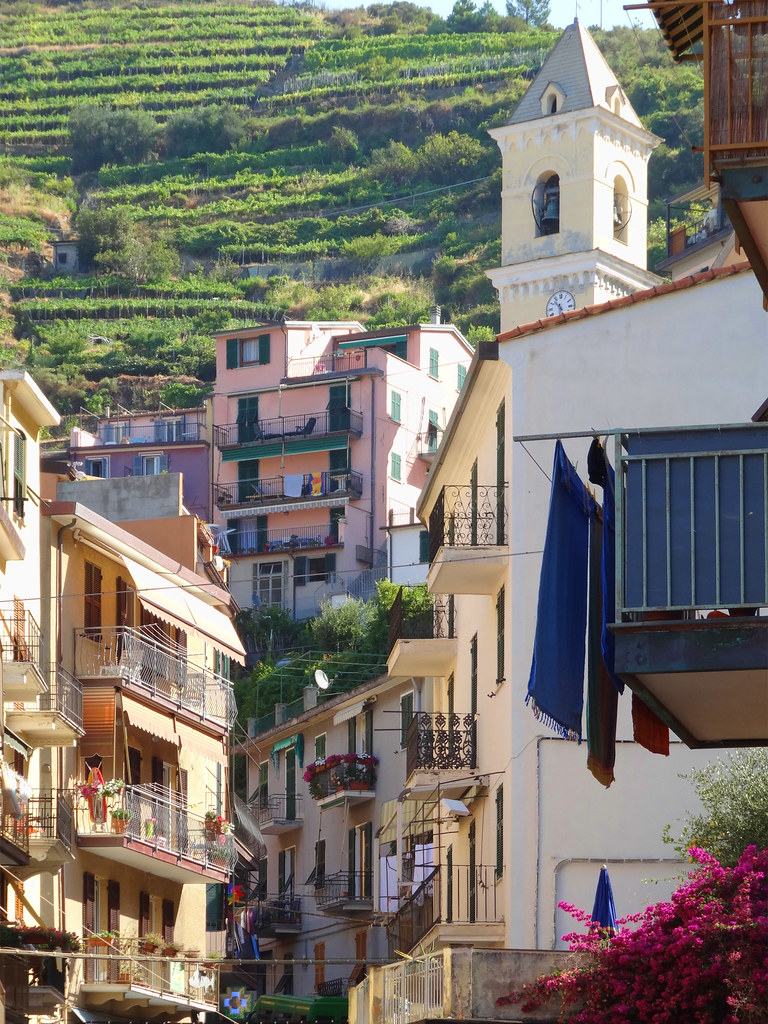 Italy Manarola 003 Houses on a hillside in Manarola one of… Flickr