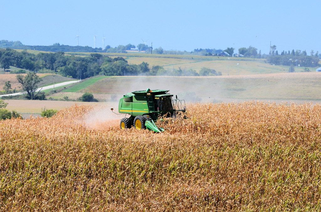Iowa Corn Harvest Flickr