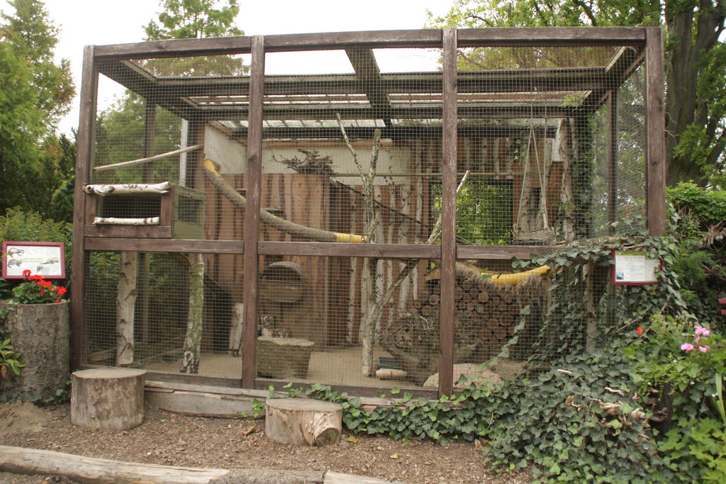 IMG_7456 ferret cage Nobinx Flickr