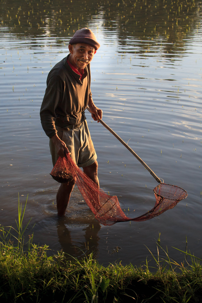 Filipino Fisherman in the Rice Paddies Adam Brill Flickr