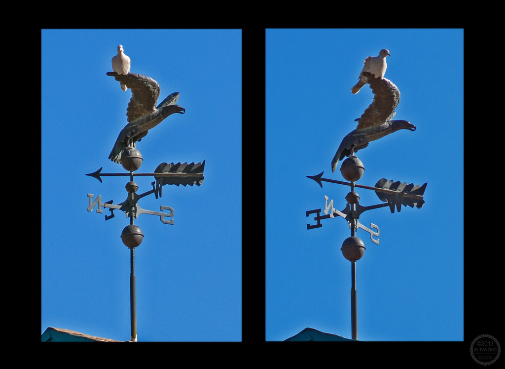 BIMG_1871,2CR2 G15 22FEB13 Wv Bird Tubac AZ Weather Vane, … Flickr
