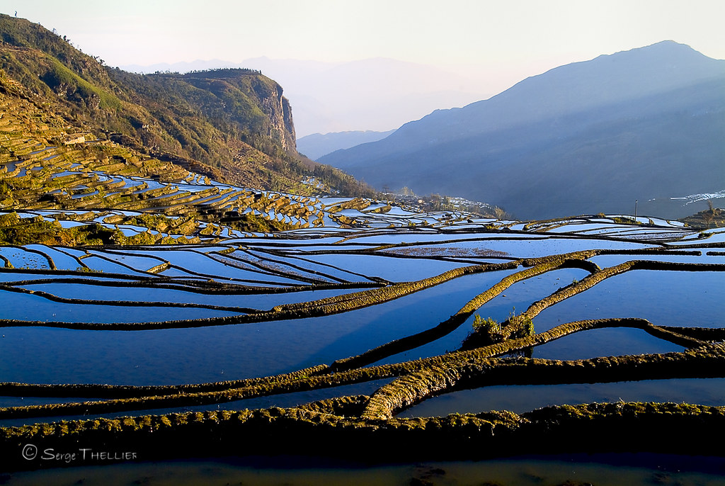 3 Yuanyang morning Light_Clic on image for better viewing Flickr