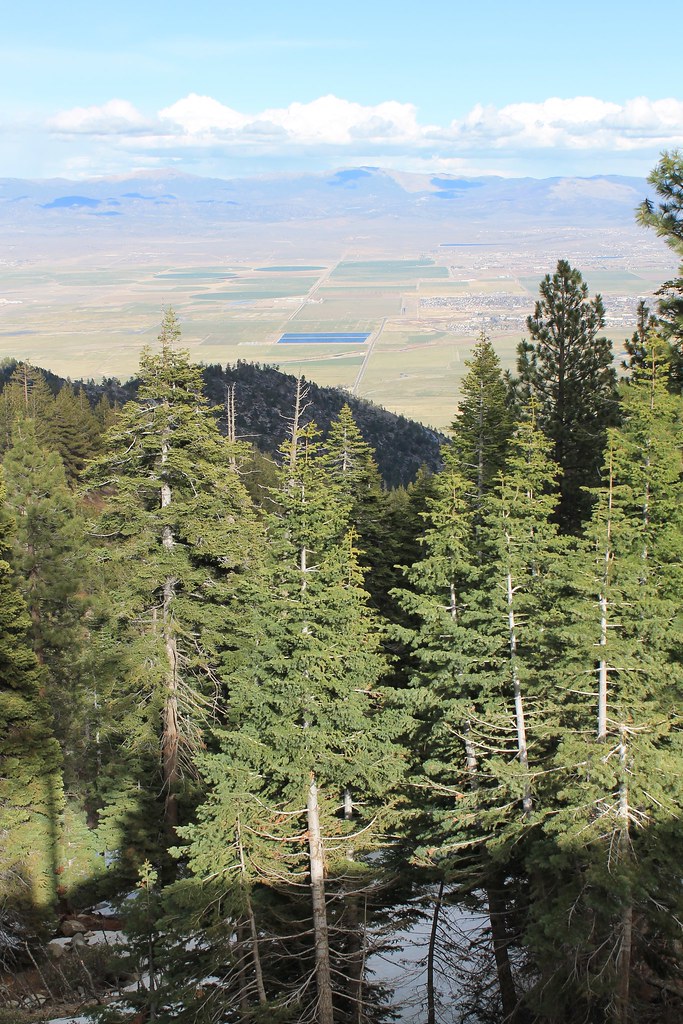 Kingsbury, Nevada Kingsbury, Nevada Patrick Nouhailler Flickr