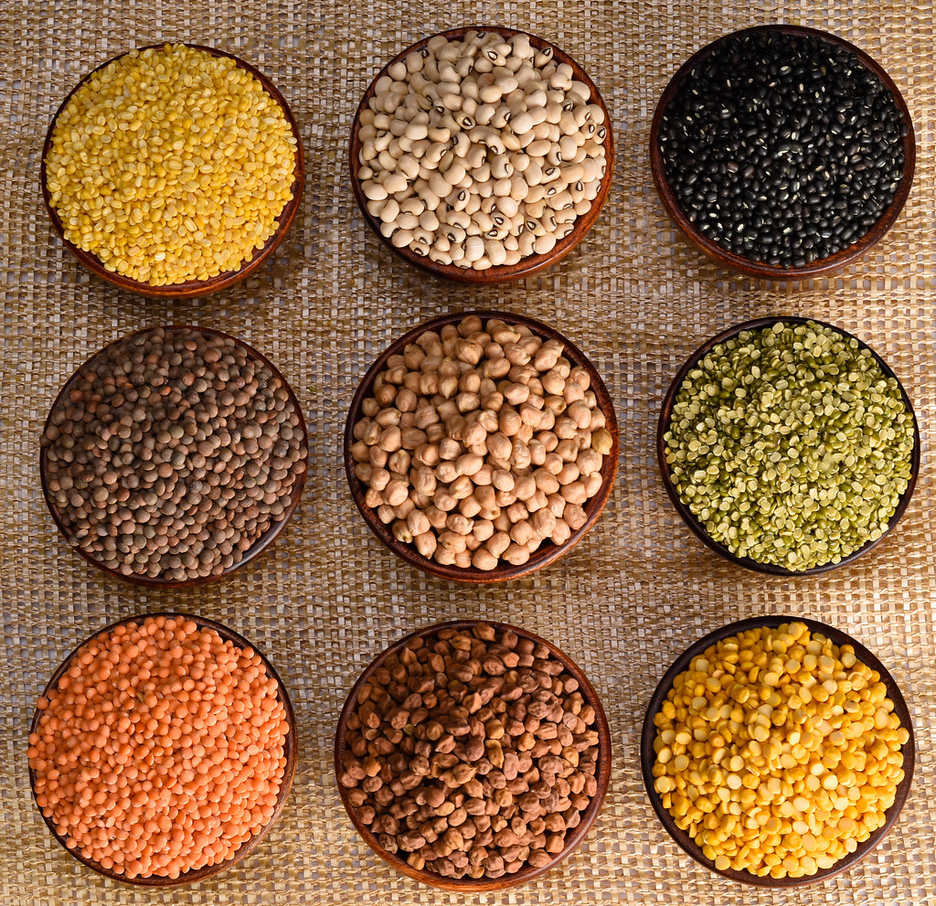 All types of pulses utkarshsharma537 Flickr