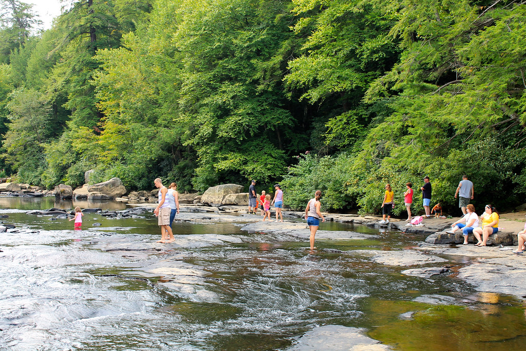 Wading in the Yough Swallow Falls State Park, MD Flickr