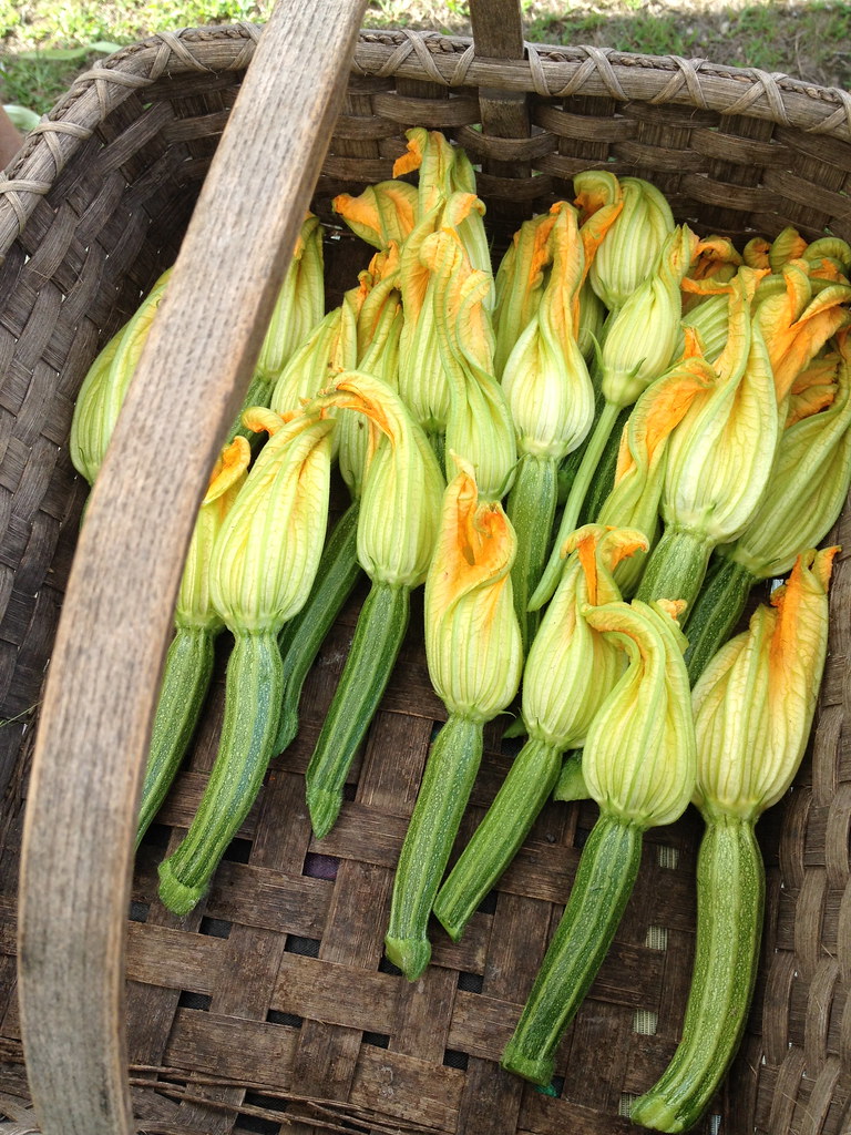 at the farmers market Lari Washburn Flickr