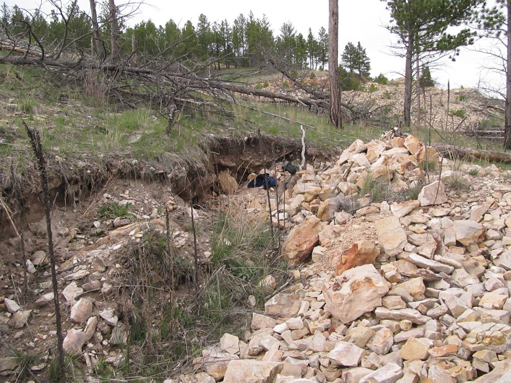 TeePee Canyon Agate dig site, Black Hills, SD. RocksInMyHe… Flickr