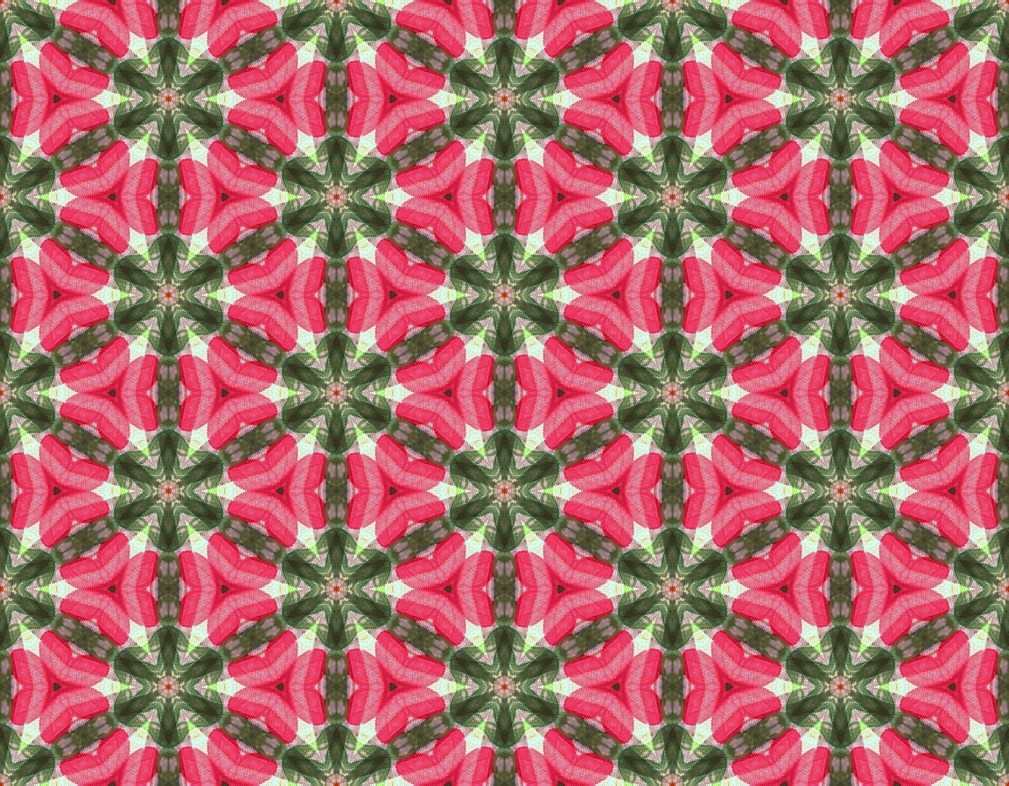 Pink and Green Contrast12 Mirror Tile Image made for my … Flickr