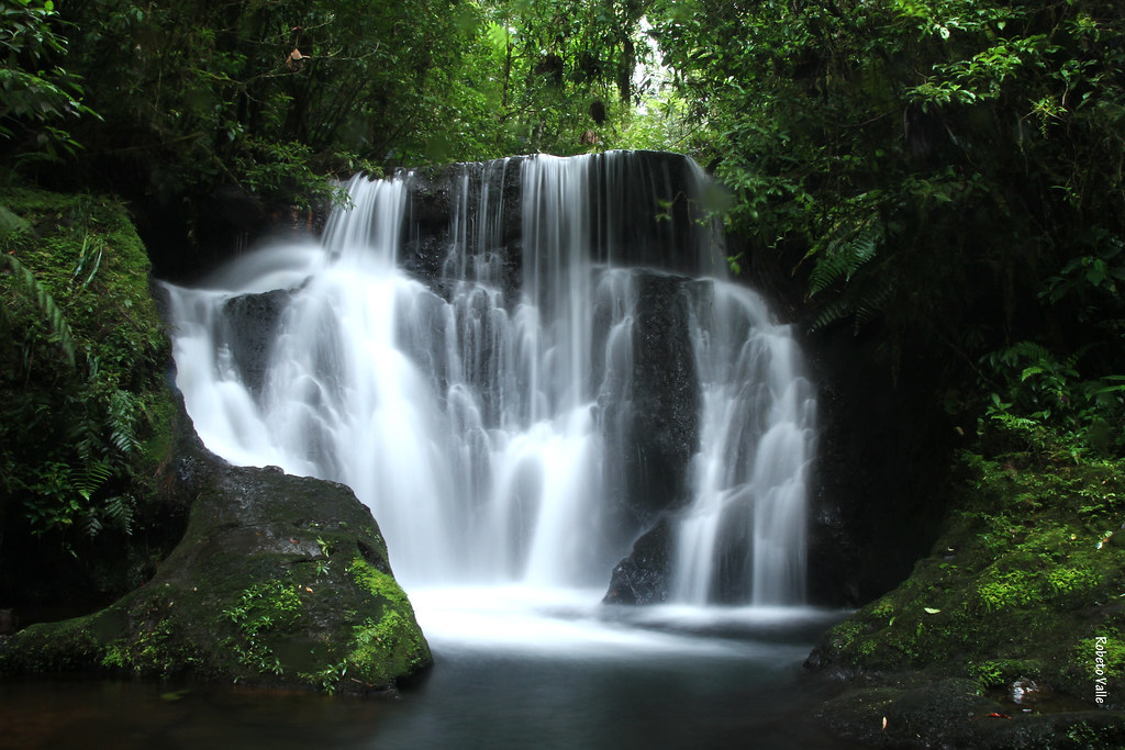 Untitled Cascada En Macizo De Penas Blancas Nicaragua Flickr