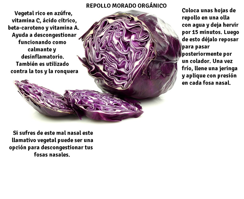Beneficios del Repollo Morado Orgánico Presentado Por Fru… Flickr