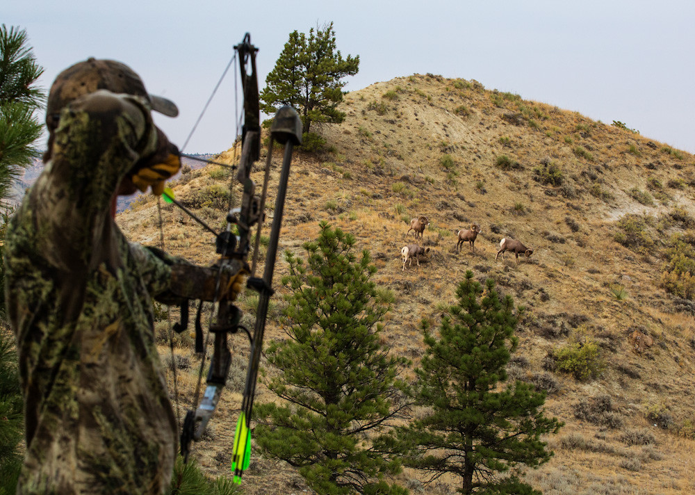 Bighorn Bow Hunt, Upper Missouri River Breaks National Mon… Flickr