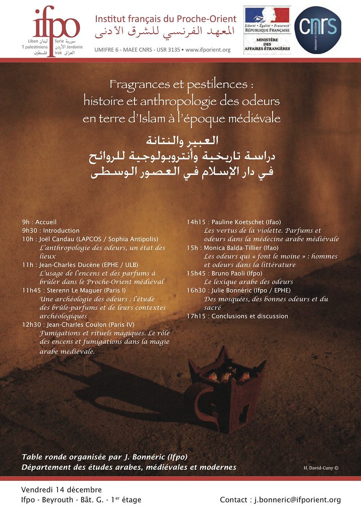 [Lire] EPUB Les parfums magiques : odeurs, onctions, fumigations.