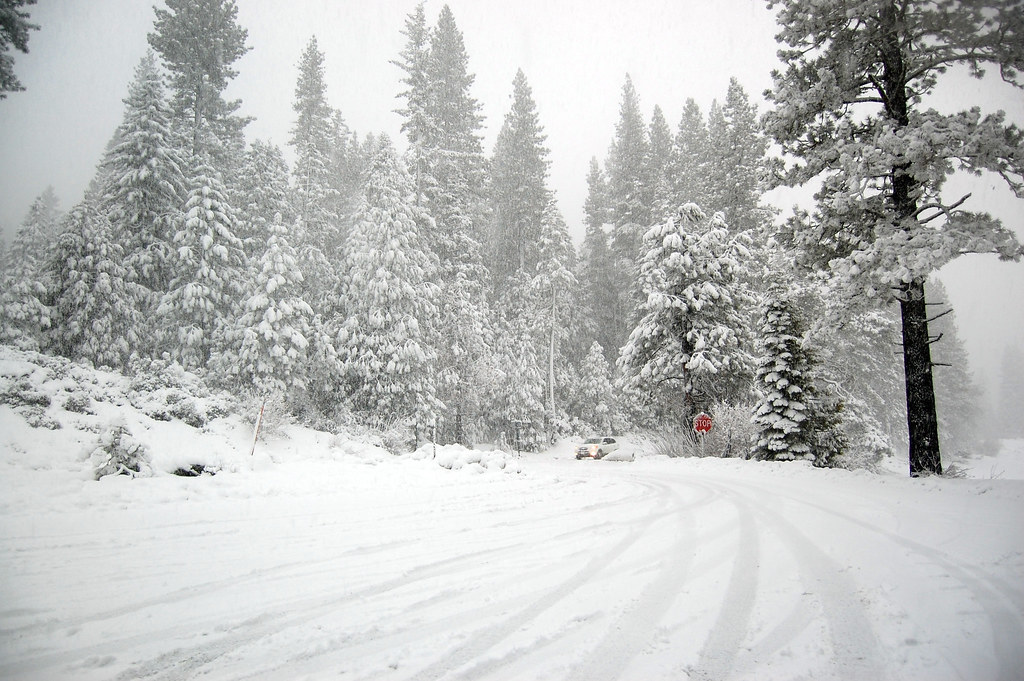 Snow_4194 Lake Shore / Shaver Lake, White Christmas, Calif… Flickr