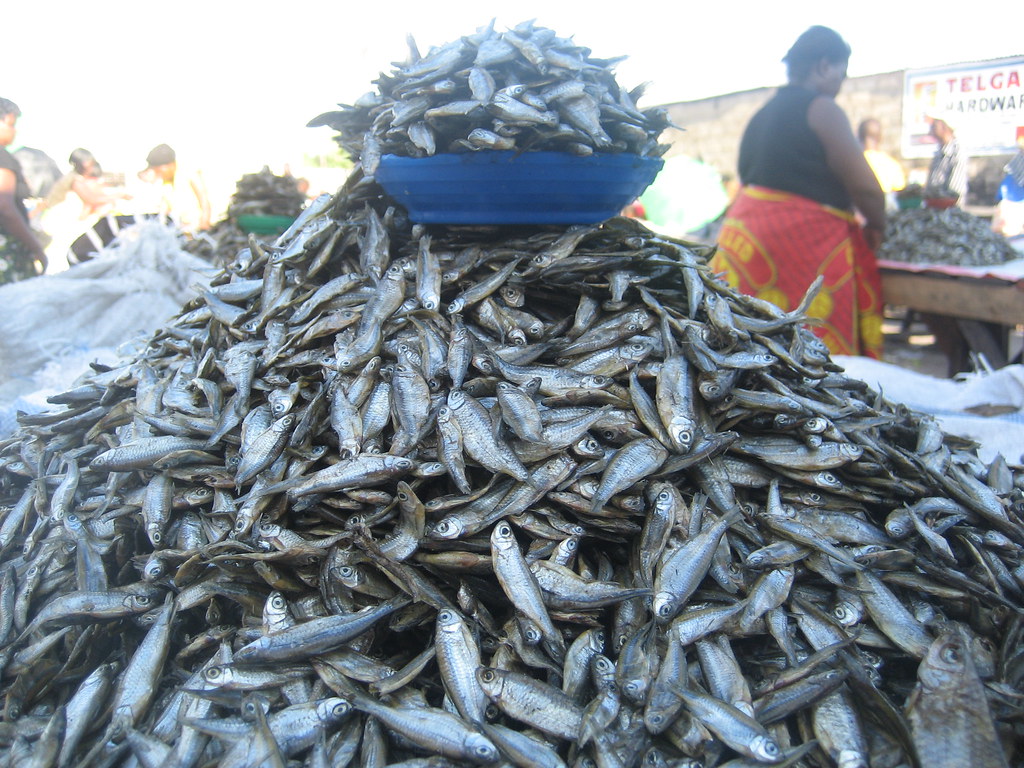 Small dried fish being sold at the market in Mongu, Zambia… Flickr