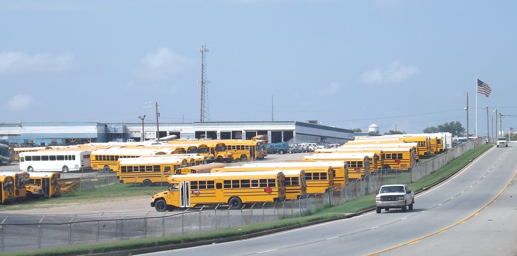 Blue Bird, Fort Valley, GA .and another Vision with tha… Flickr