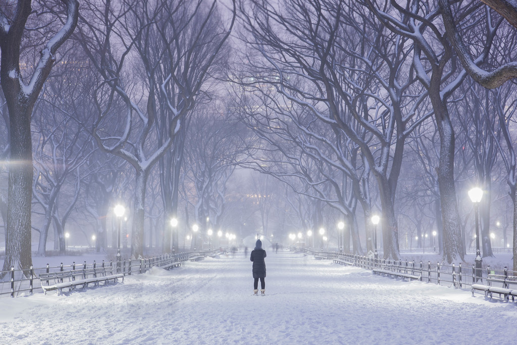 Blizzard of 2015 in Central Park New York City Follow my